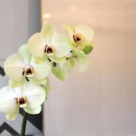 Apartman Sant'anna Lisboa